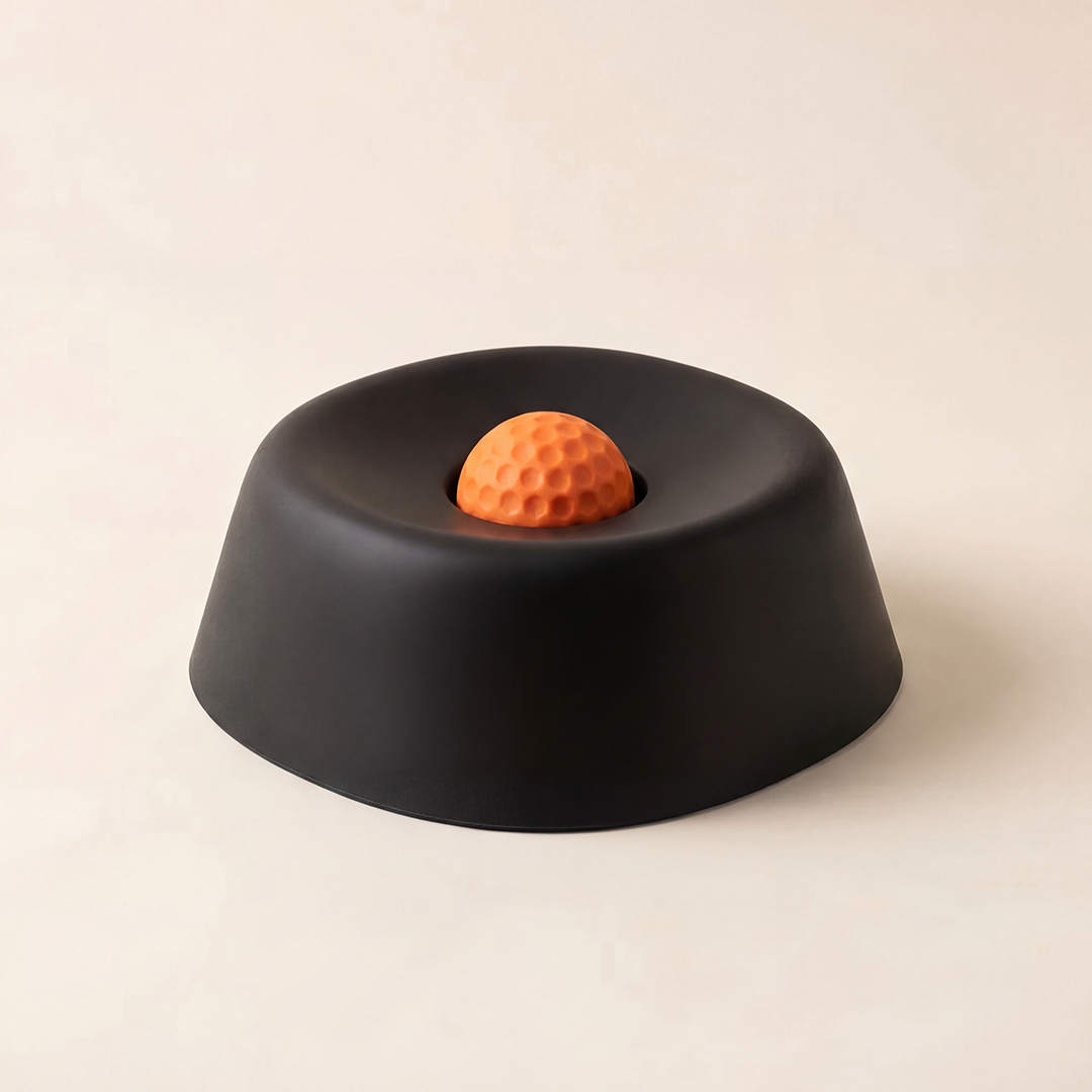 Slow Feeder Bowl