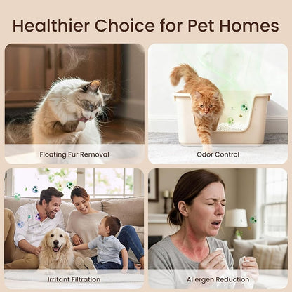 Home Pet Fur and Odor Removal Box