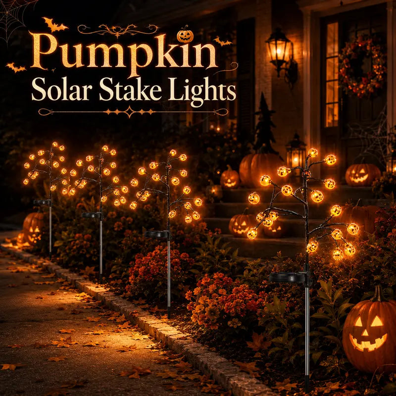Pumpkin solar stake lights glowing along a Halloween front walkway
