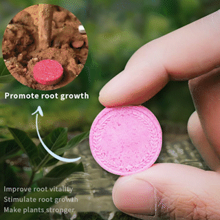🌞Home Gardening Universal Slow-Release Tablet Organic Fertilizer