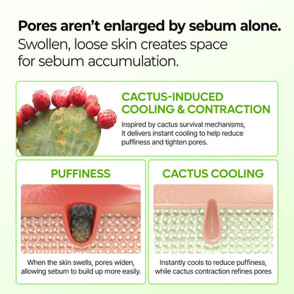 Cactox & Collagen Multi Pore Firming Duo with Cactus Cooling & Eye Care Stick