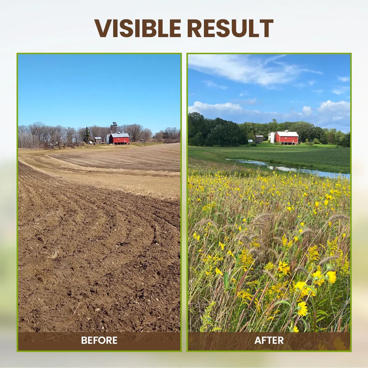 🌳Soil Pro Activator