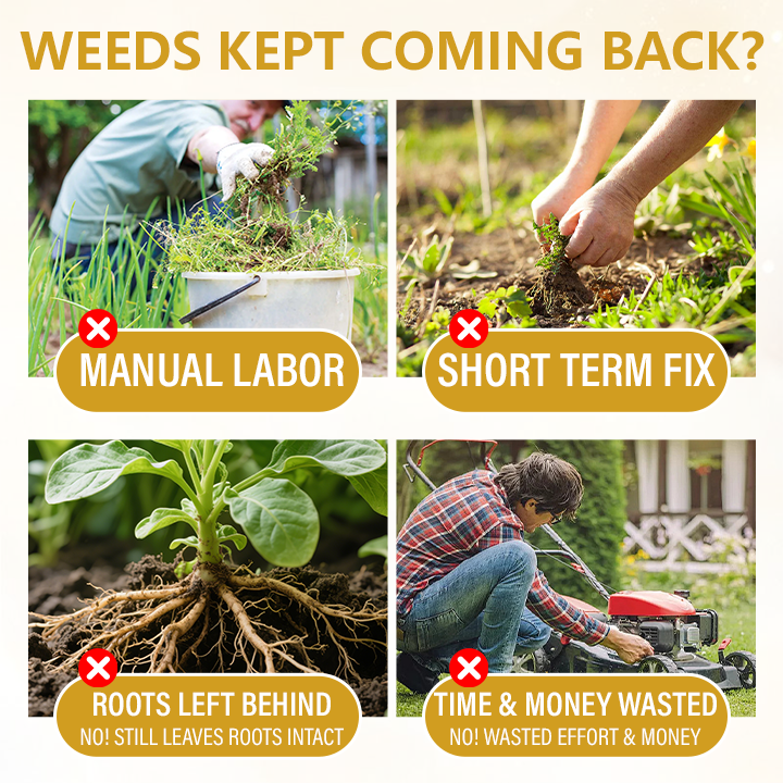 Pro Strength 2-in-1 Herbicide: Fast Acting Results on Glyphosate-Resistant Weeds