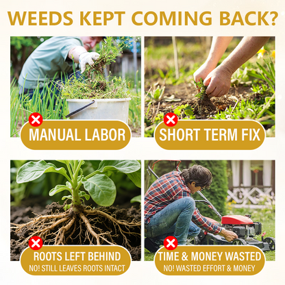 Pro Strength 2-in-1 Herbicide: Fast Acting Results on Glyphosate-Resistant Weeds