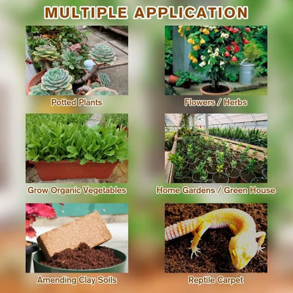 🌱 Premium Organic Coconut Coir Bricks For Plants