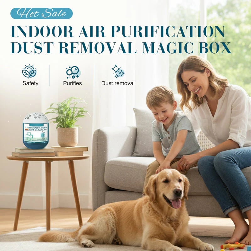 🔥2026 New & Upgraded -- Indoor Air Purification Dust Removal Magic Box🏠
