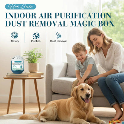 🔥2026 New & Upgraded -- Indoor Air Purification Dust Removal Magic Box🏠