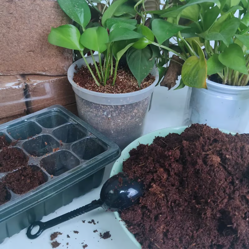 🌱 Premium Organic Coconut Coir Bricks For Plants