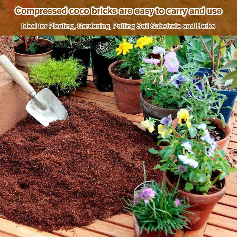 🌱 Premium Organic Coconut Coir Bricks For Plants