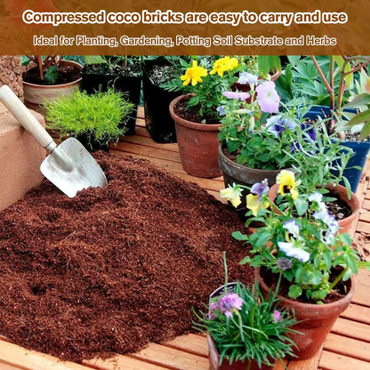 🌱 Premium Organic Coconut Coir Bricks For Plants