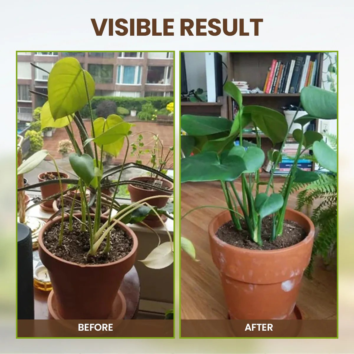 🌳Soil Pro Activator