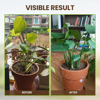 🌳Soil Pro Activator