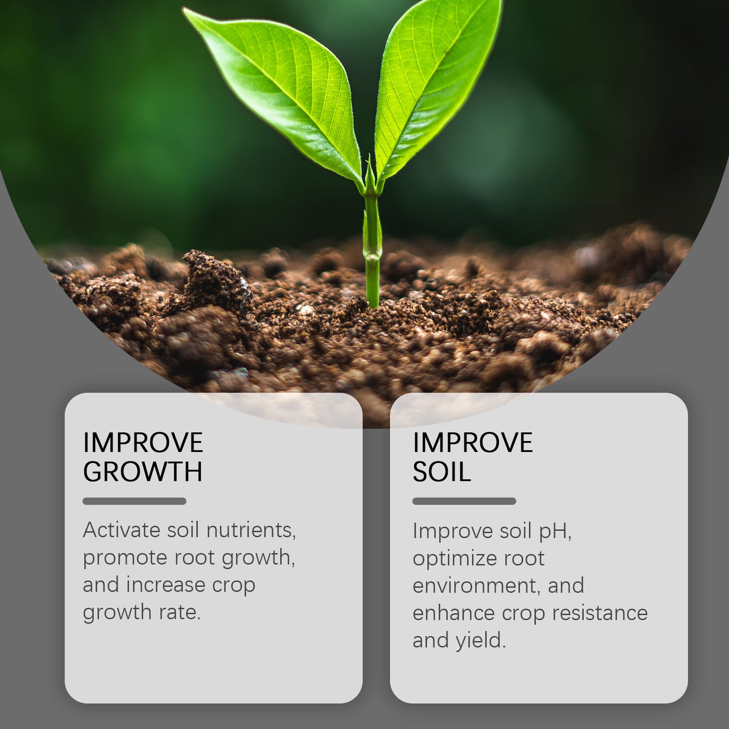 Soil conditioner. Concentrated humic acid formula, suitable for lawns and garden plants.