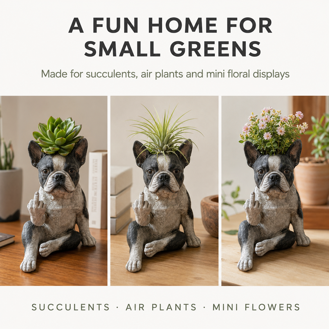 🐶Boston Terrier Planter — Instantly Infuse Your Plants with Personality 🌿