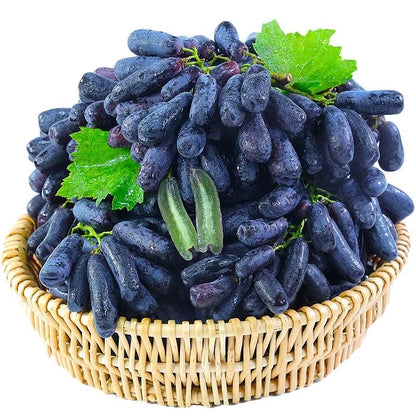 🔥💜 Sweet Sapphire Grape (Rare Finger Grapes) 🍇