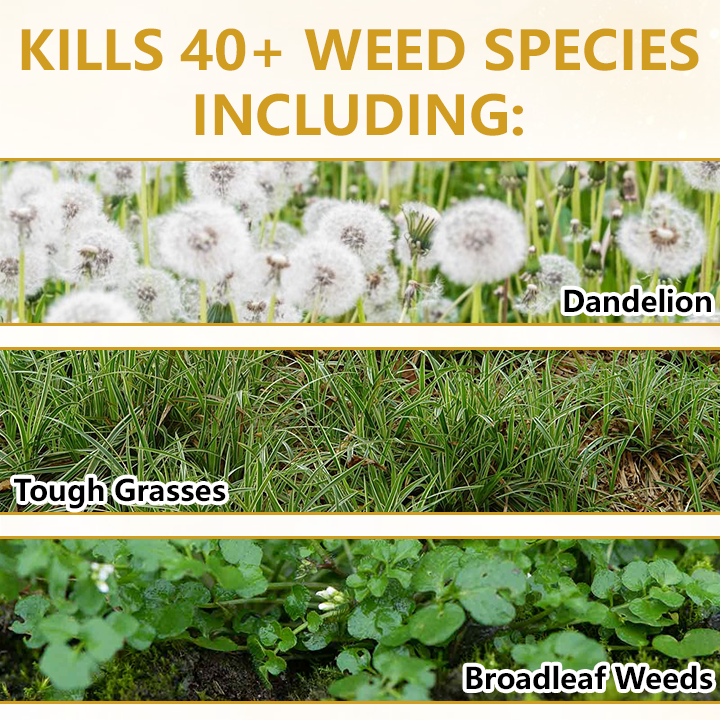 Pro Strength 2-in-1 Herbicide: Fast Acting Results on Glyphosate-Resistant Weeds