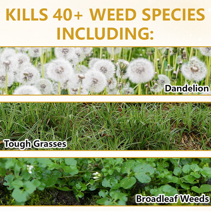 Pro Strength 2-in-1 Herbicide: Fast Acting Results on Glyphosate-Resistant Weeds