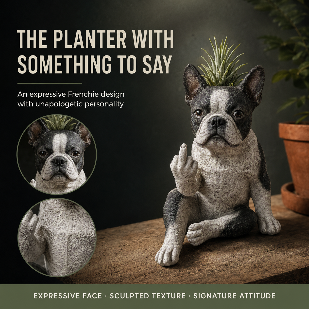 🐶Boston Terrier Planter — Instantly Infuse Your Plants with Personality 🌿