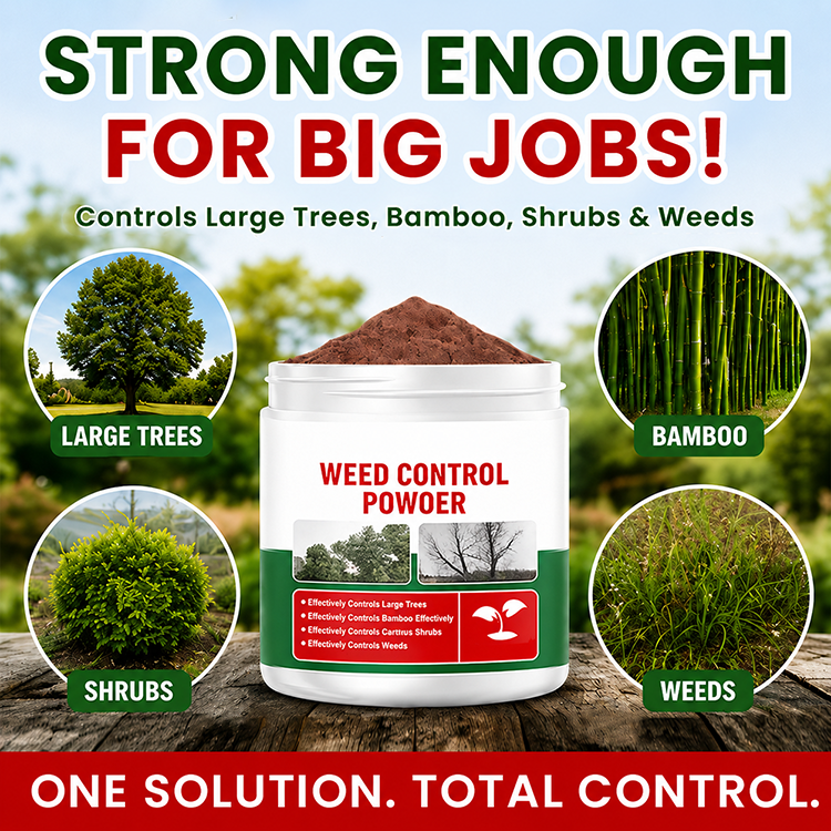 Outdoor Weed Control Powder for Patios, Driveways & Garden Paths