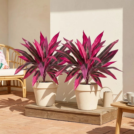 Vibrant Pink Purple Faux Boston Fern & Dragon's Blood Tree, Artificial Decorative Plants