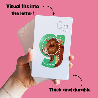 Picture Mnemonic Phonics Flashcards – Lowercase Alphabet Letter Sound Cards for Preschool & Kindergarten Reading