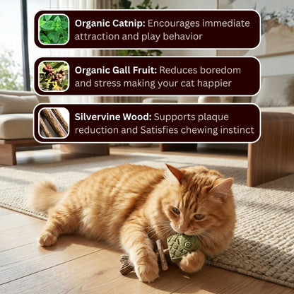 🐱Natural Catnip & Silvervine Chews – Healthy Chew Treats for Cats