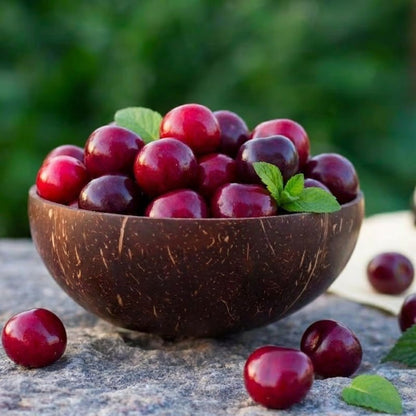 ✨✨ ✨✨ Sweet Cherry Seeds , High Germination Rate, Large-Fruited Variety, Perfect for Gardens & Containers