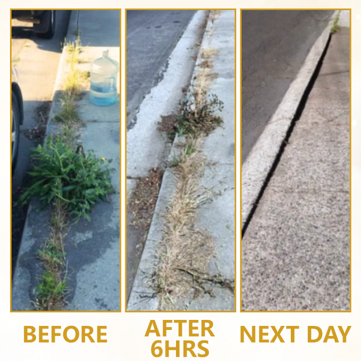 Pro Strength 2-in-1 Herbicide: Fast Acting Results on Glyphosate-Resistant Weeds