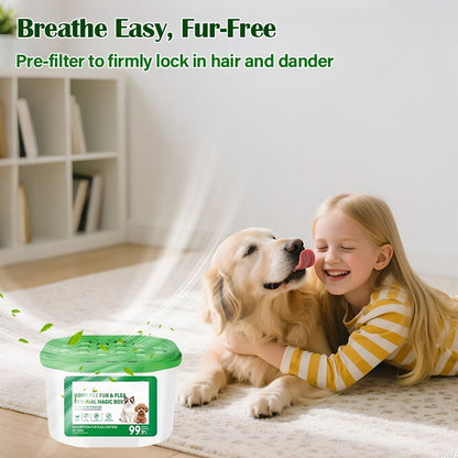 Home Pet Fur and Odor Removal Box