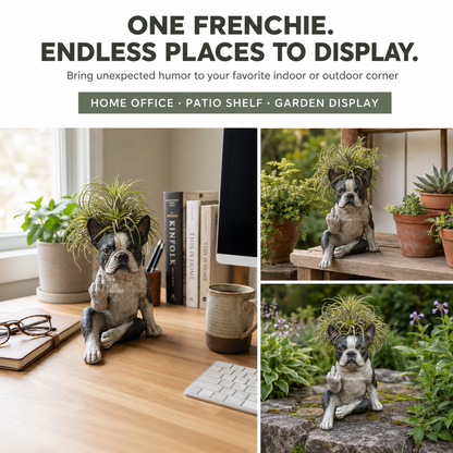 🐶Boston Terrier Planter — Instantly Infuse Your Plants with Personality 🌿