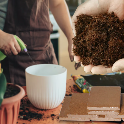 🌱 Premium Organic Coconut Coir Bricks For Plants