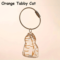 Orange Tabby Cat