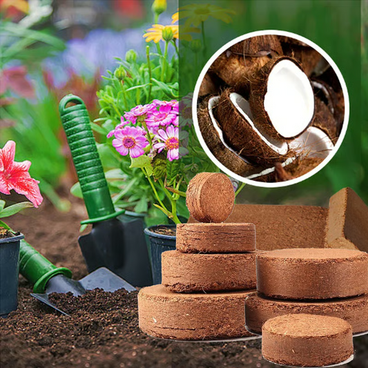 🌱 Premium Organic Coconut Coir Bricks For Plants