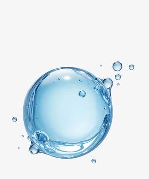 EDI Purified Water