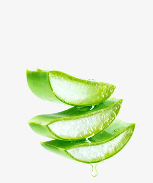 Aloe Vera Extract