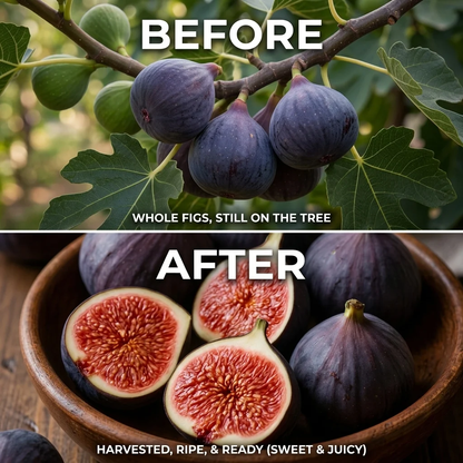 🌳🌳 High-Yield Dwarf Fig Tree – Fast-Growing, Sweet & Crisp Fruit, Perfect for Pots, Balconies & Farms