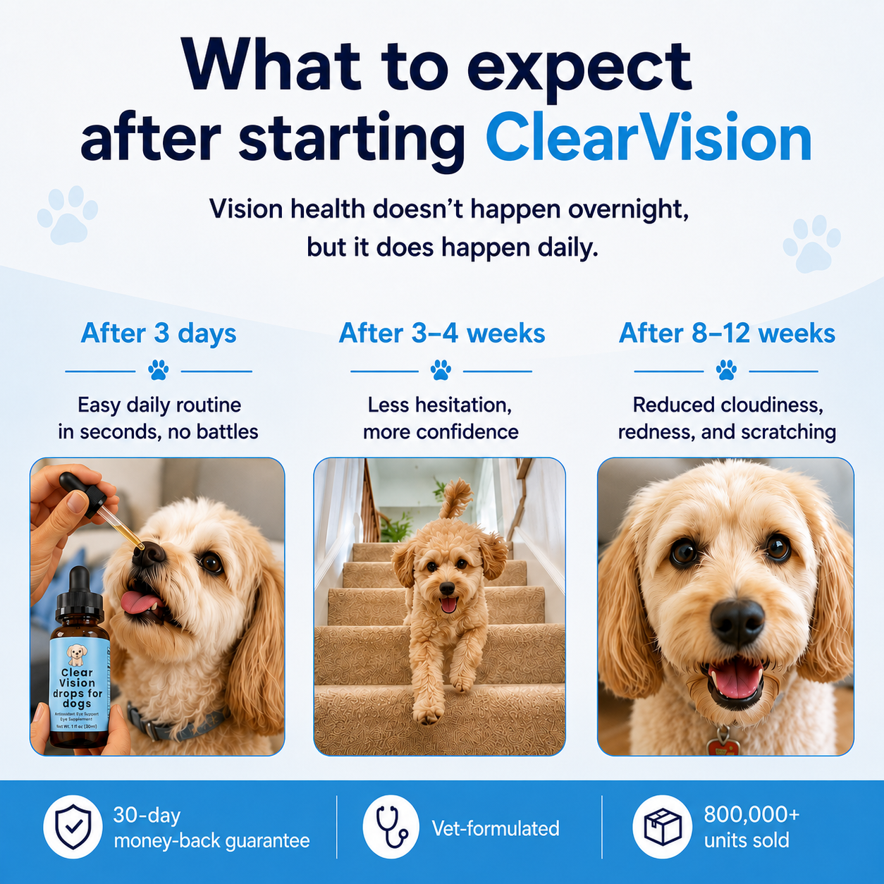 Food Drops Daily Eye Support for Dogs
