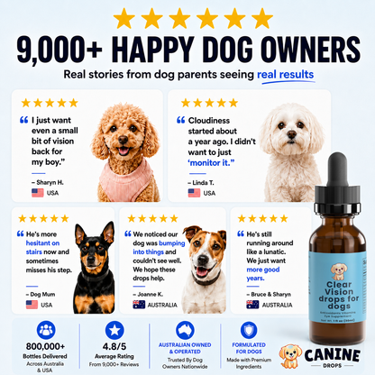 Food Drops Daily Eye Support for Dogs