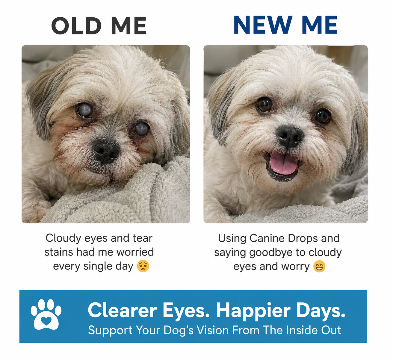 Food Drops Daily Eye Support for Dogs