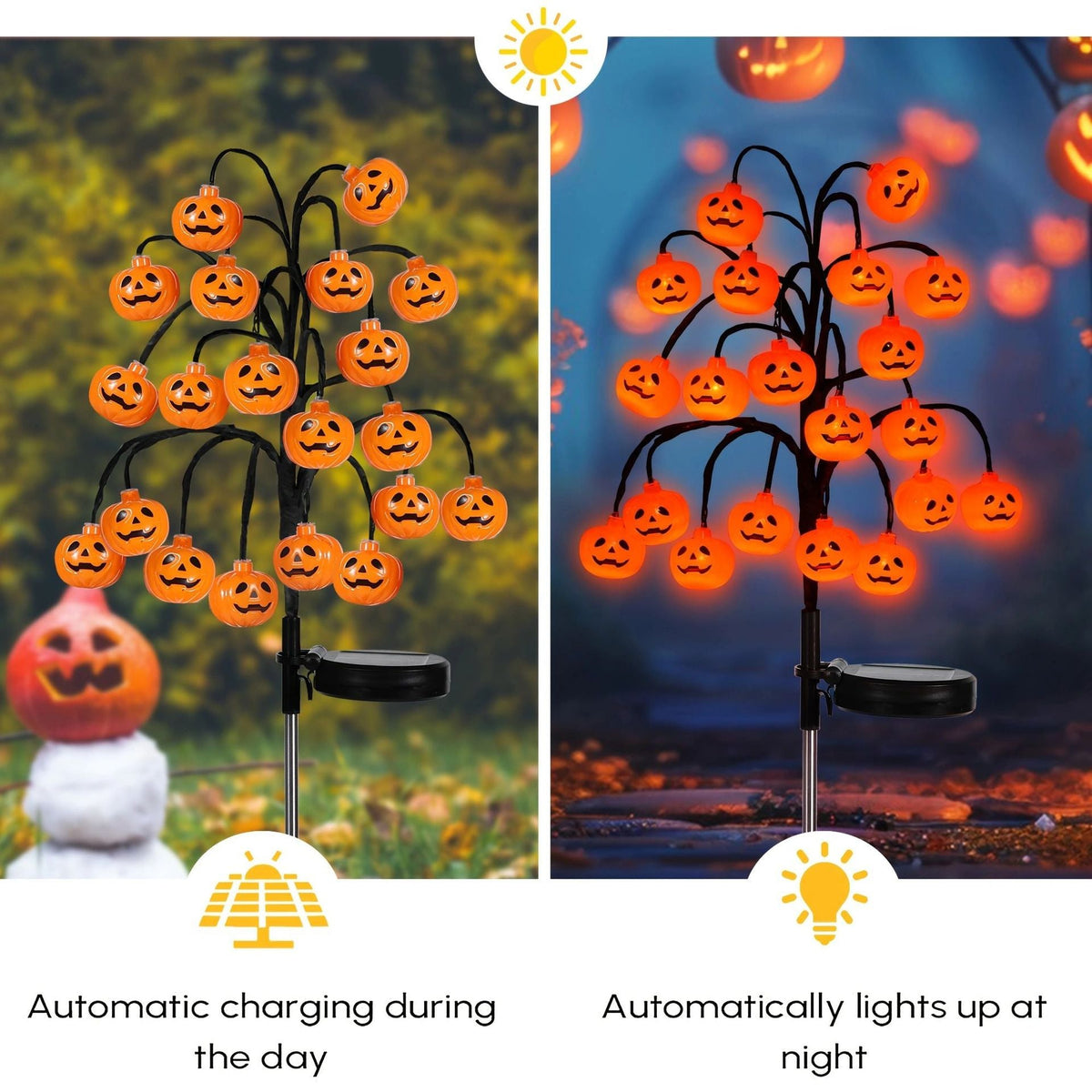 Pumpkin stake light shown charging in daylight and glowing automatically at night