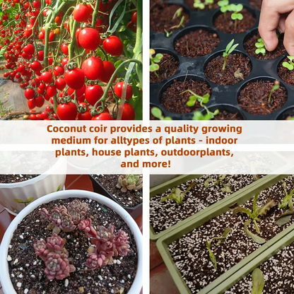 🌱 Premium Organic Coconut Coir Bricks For Plants