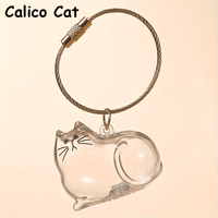 Calico Cat