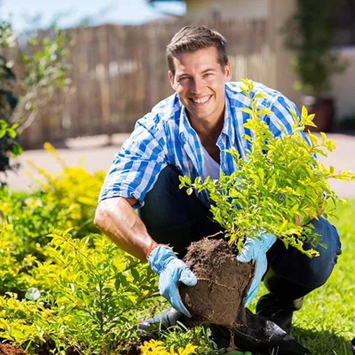 🌳Soil Pro Activator