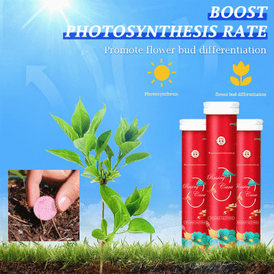 🌞Home Gardening Universal Slow-Release Tablet Organic Fertilizer
