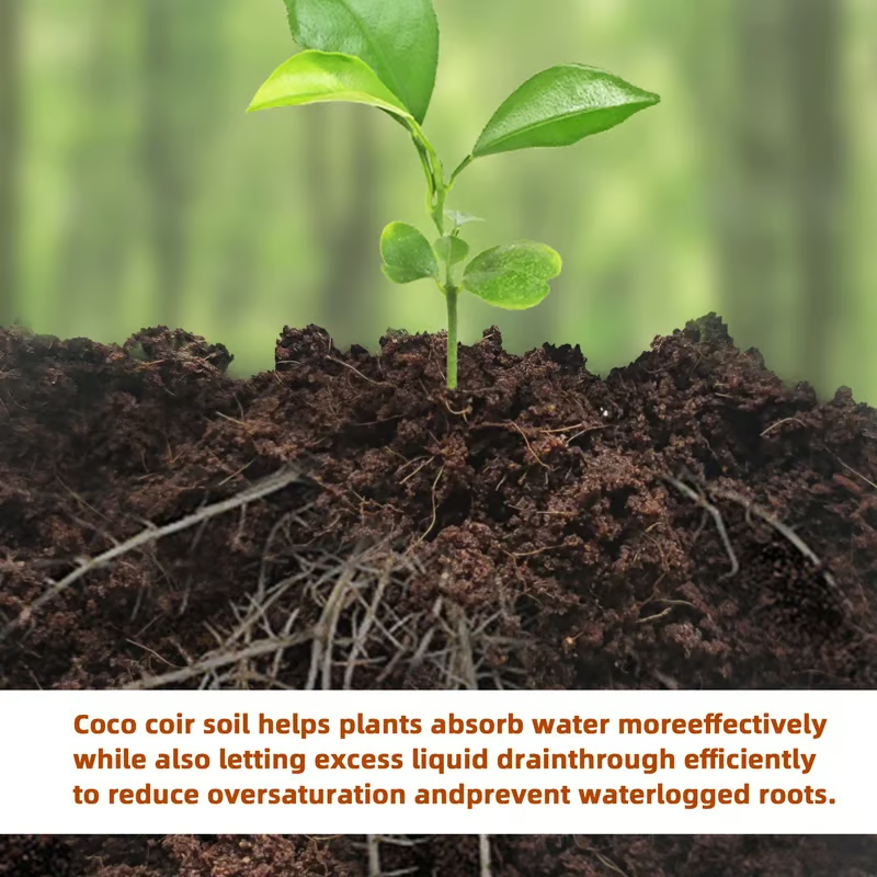 🌱 Premium Organic Coconut Coir Bricks For Plants