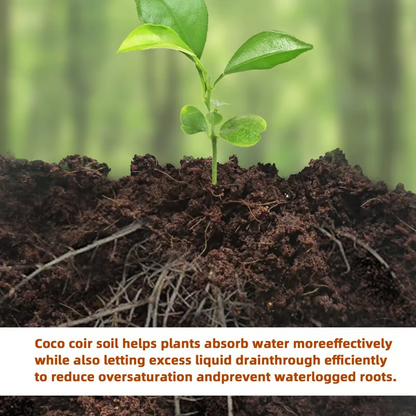 🌱 Premium Organic Coconut Coir Bricks For Plants