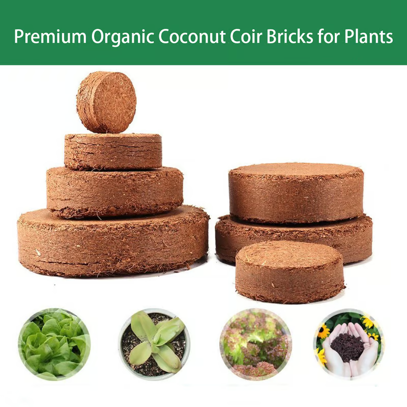 🌱 Premium Organic Coconut Coir Bricks For Plants