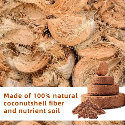 🌱 Premium Organic Coconut Coir Bricks For Plants