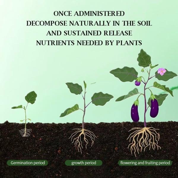 🌞Home Gardening Universal Slow-Release Tablet Organic Fertilizer