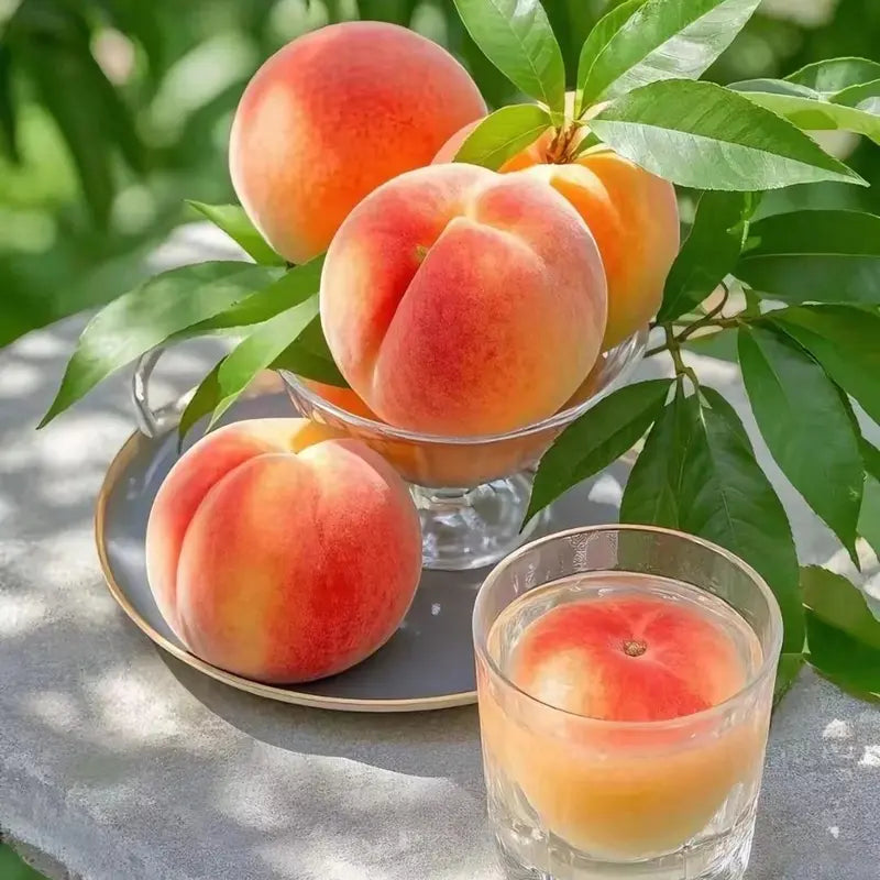 🍑Premium Sweet Juicy Peach Tree Growing Kit